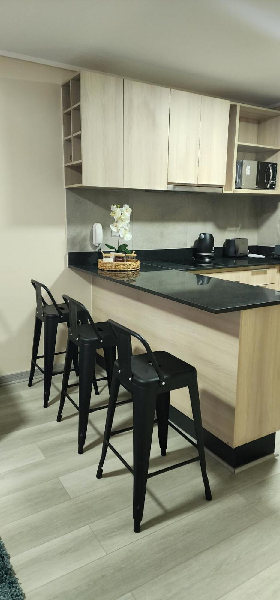 Espectacular Departamento Santiago